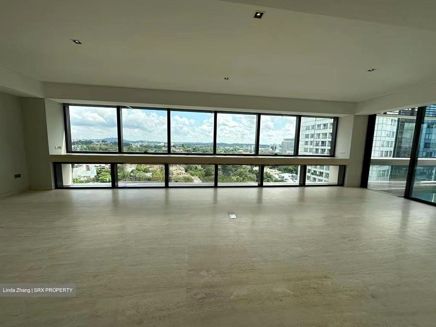 Hana (D10), Condominium #516714981
